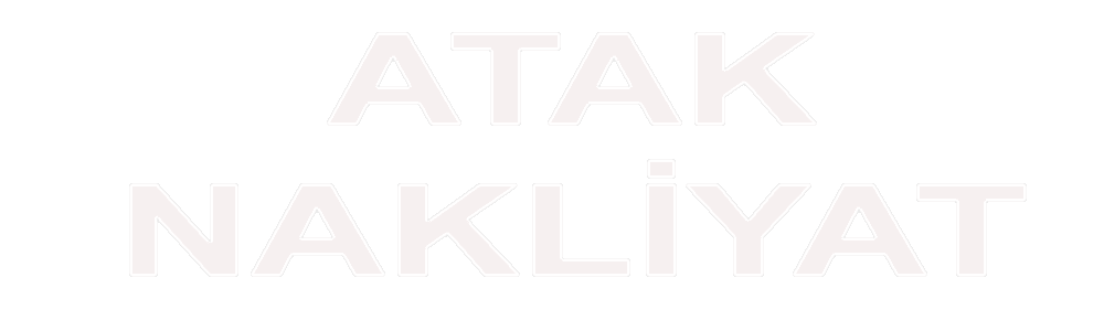 Logo footer